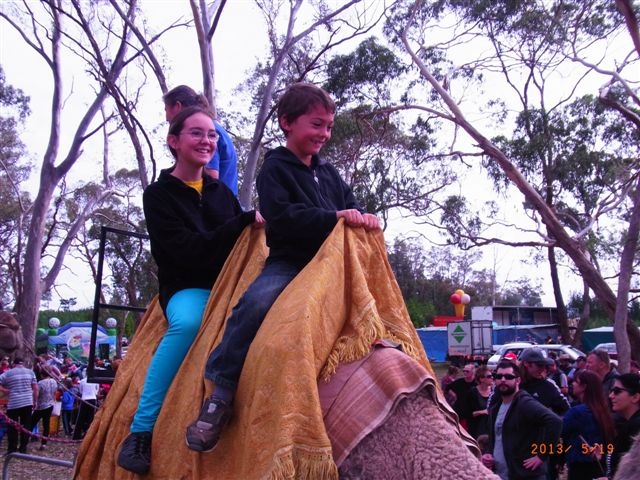 kids on a camel
