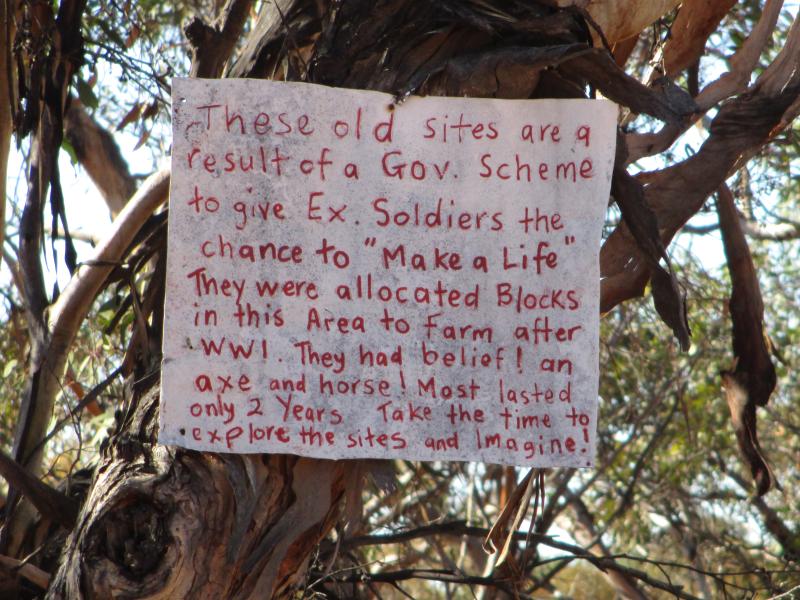 Nothing but those Mallee trees grows there. But the government tried to settle people there anyway.
